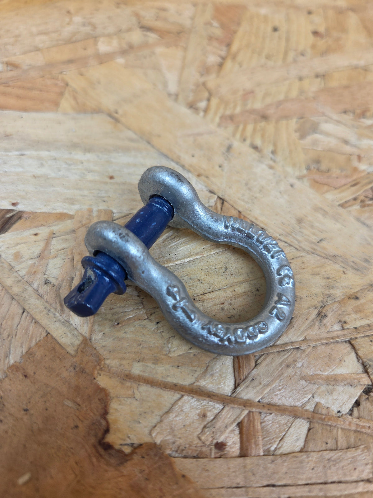 1/4" Tested Steel D Shackle Screw Pin