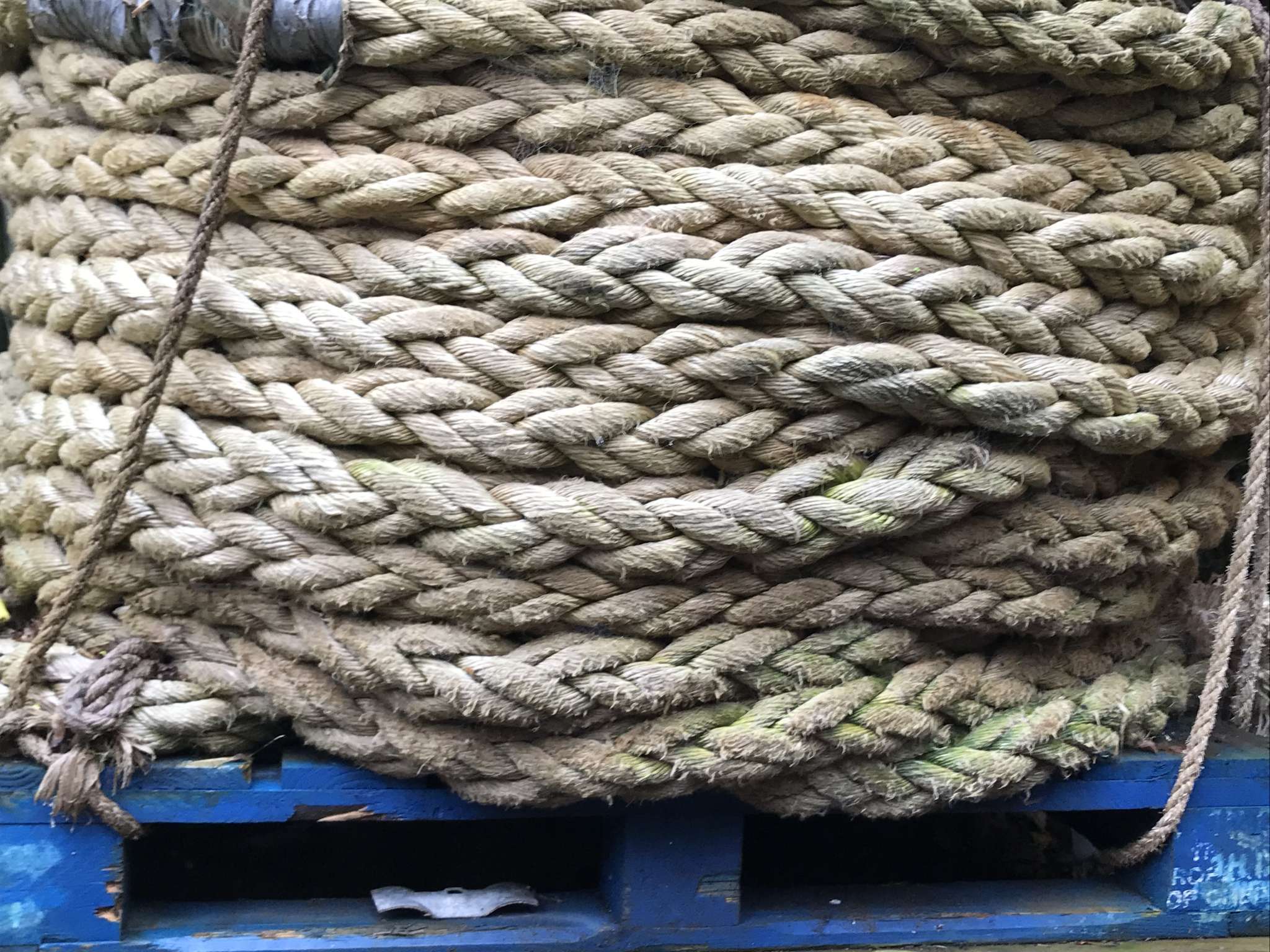Thick mooring rope Bogey Knights